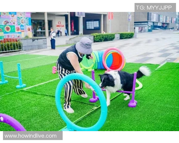 选手们的宠物萌照大集合让我们一起感受他们的温馨与快乐时光